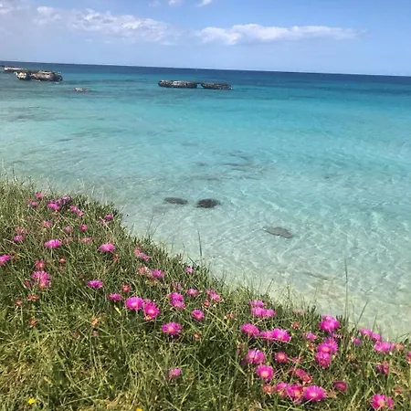 Casa Teresa Nel A Due Passi Dal Mare Сан-Фока