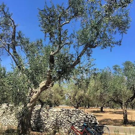 Casa Teresa Nel A Due Passi Dal Mare * San Foca